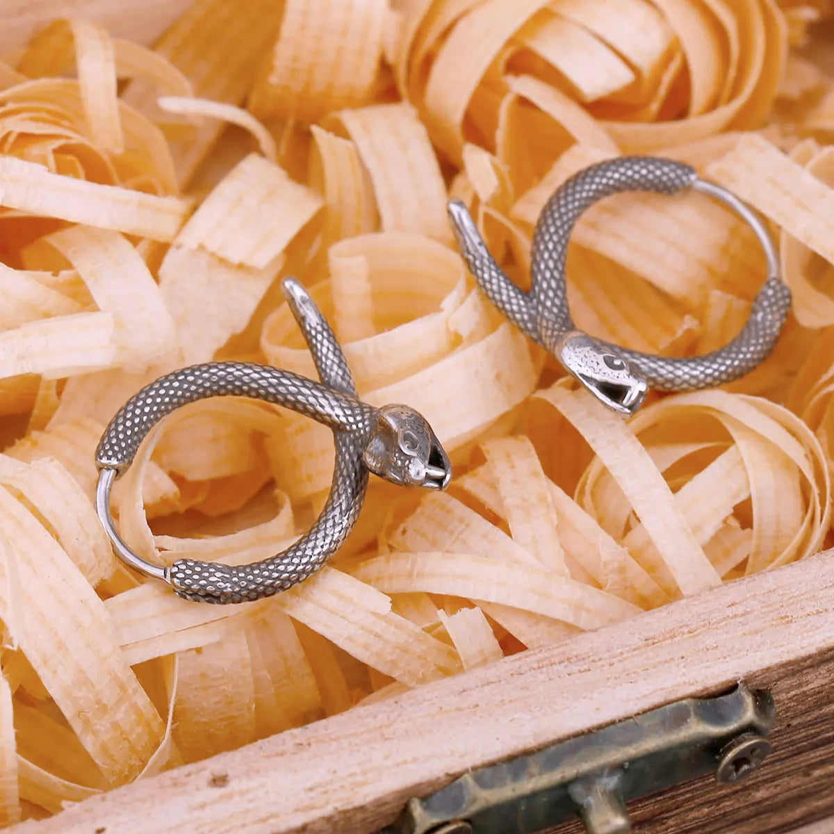 Viking Tail Snake Stainless Steel Earrings
