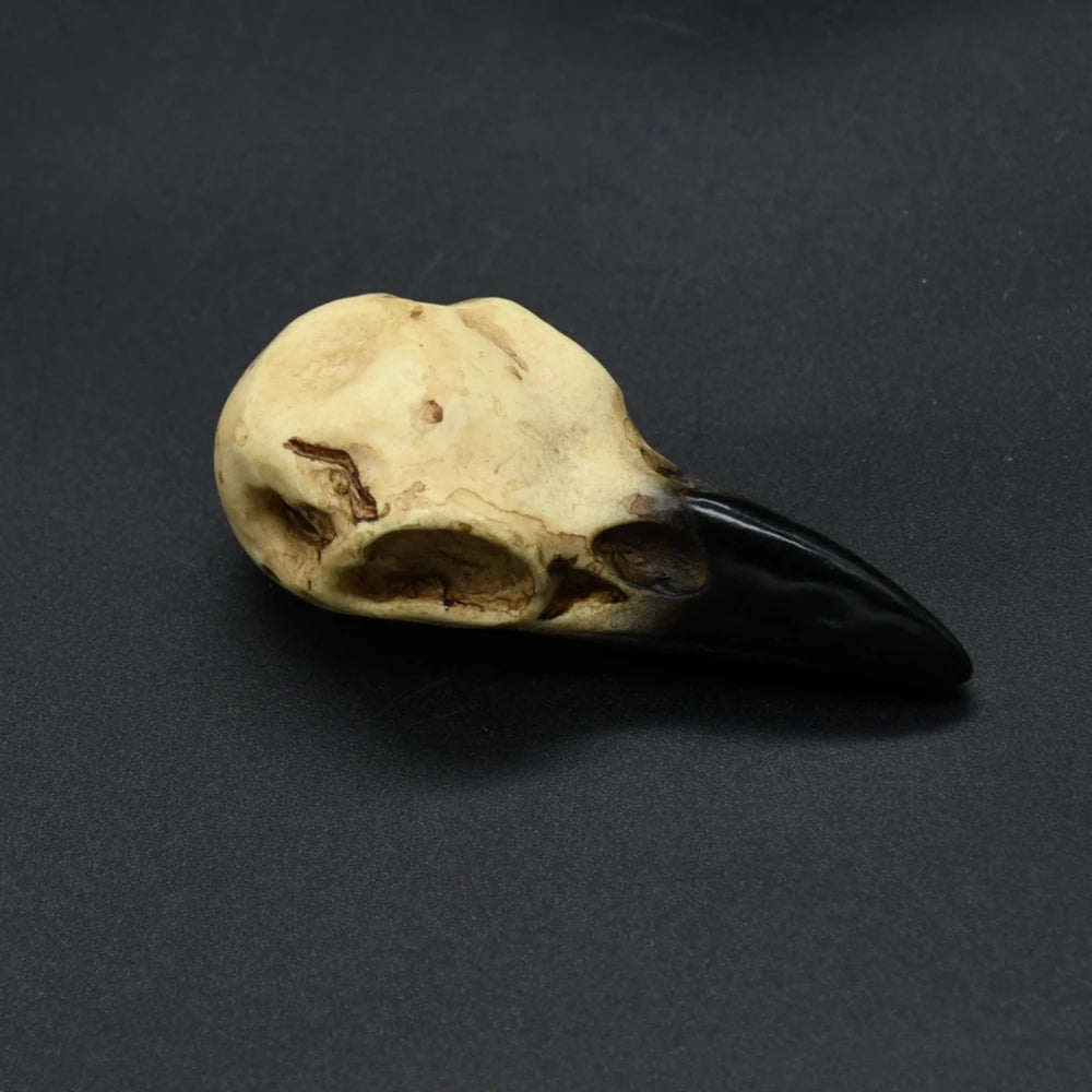 Viking amulet Raven Skull Pendant Vintage Nordic Necklace Amulet
