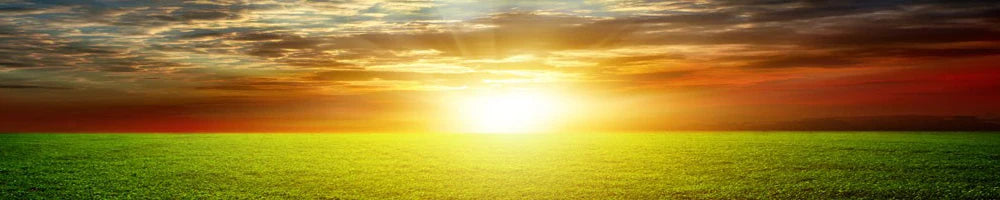 Never Fade Nordic Viking Norse Dragon Scandinavian Bracelet Men Wristband Cuff Bracelets stainless steel with gift bag