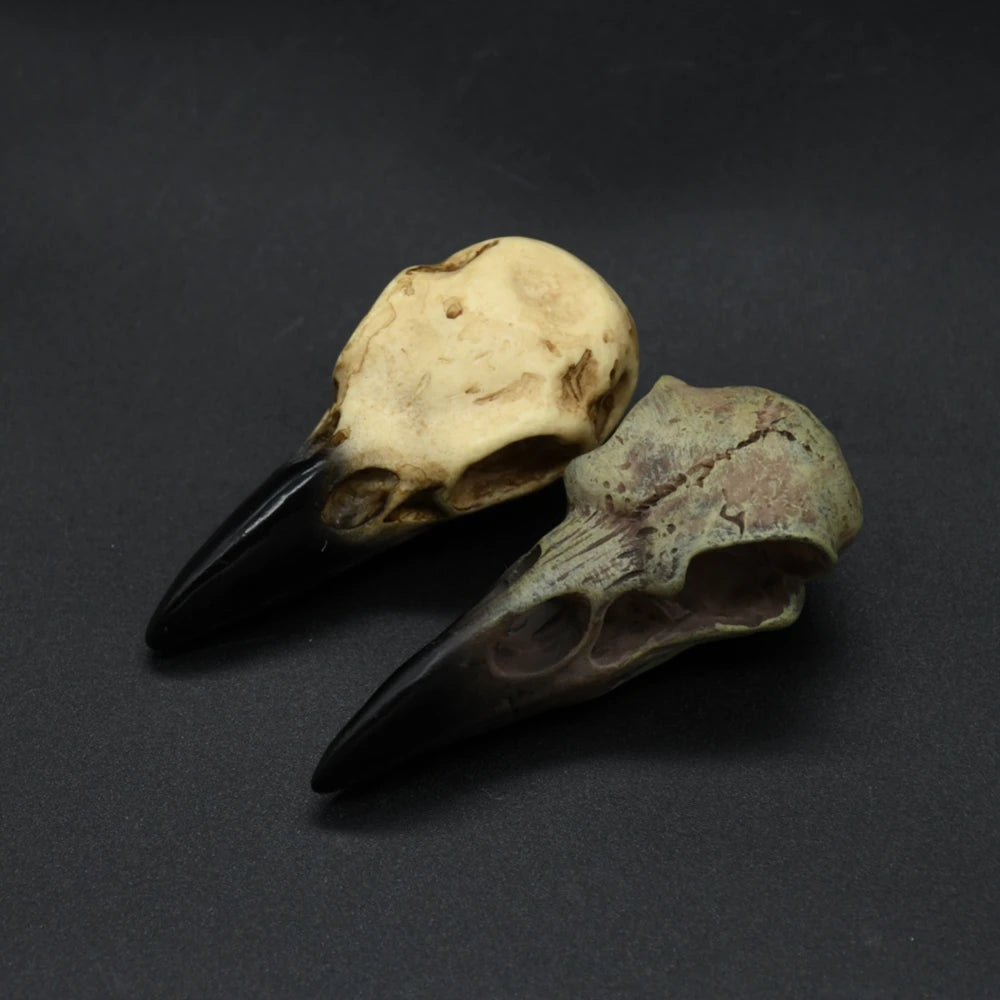 Viking amulet Raven Skull Pendant Vintage Nordic Necklace Amulet