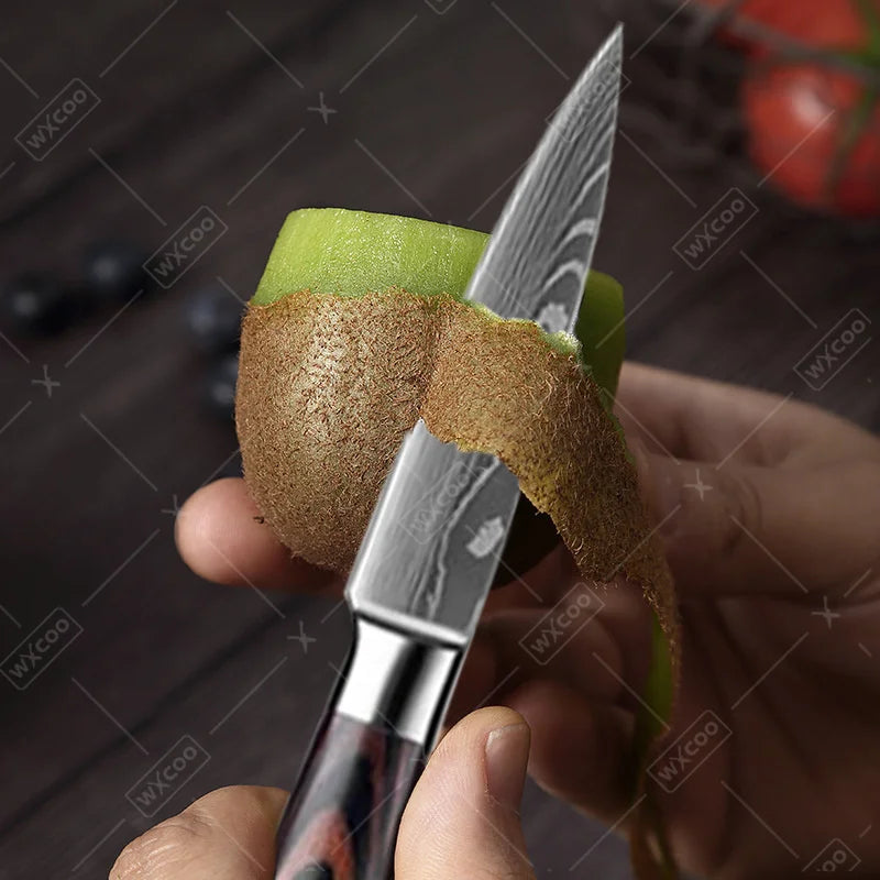 9 Pcs Kitchen Chef Knife Set High Carbon Stainless Steel Damascus Chef Knife Boning Knife Cleaver Santoku Slicer Vegetable