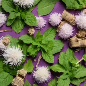 Bharara Viking Dubai Parfum Unisex Perfume 3.4oz / 100ml For Men For Women Elegant Packaging Holiday Gifts